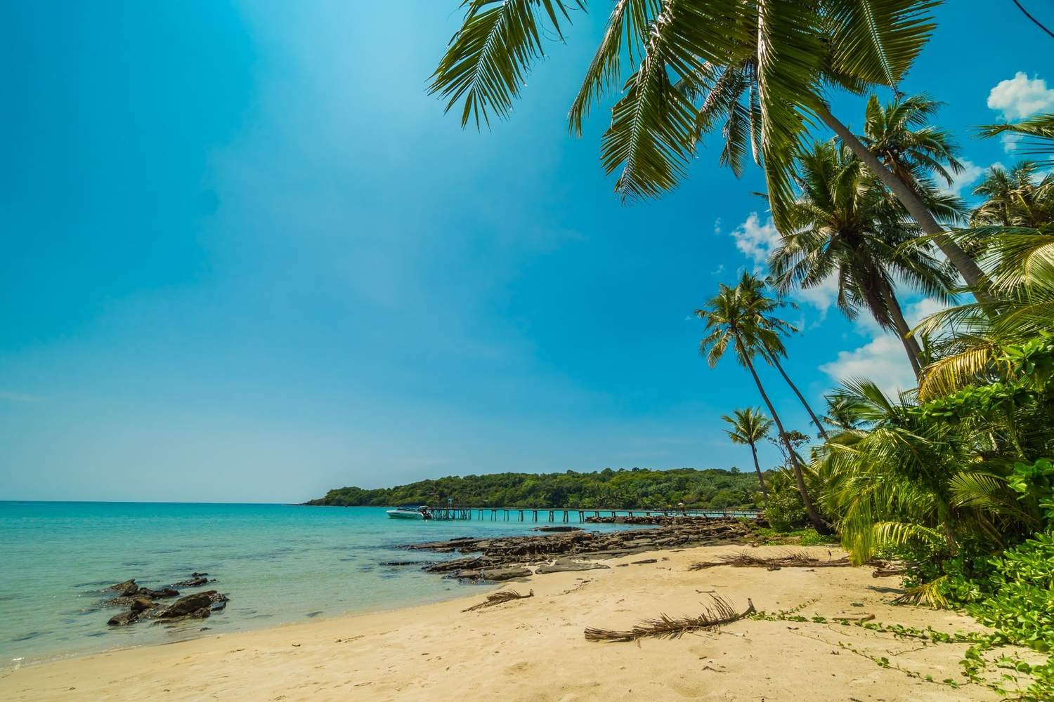 Sunny tropical beach with palm trees and ocean in Goa